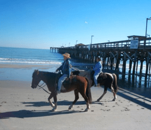 Bayberry horseback beach riding