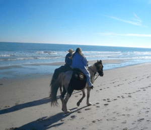 Bayberry horseback ride - beach