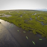Bayberry kayak overhead
